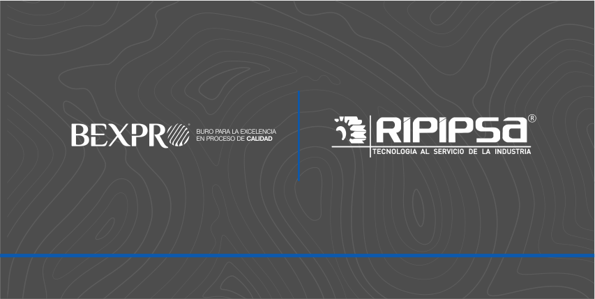 Capacitación exitosa, RIPIPSA 